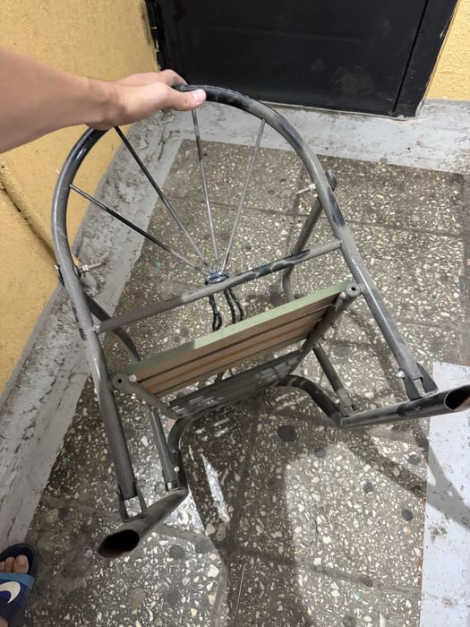 Продам санька (шана)