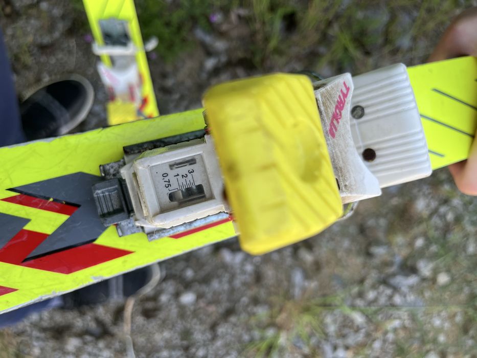 Schiuri de schi Völkl Renntiger Retro 185 cm