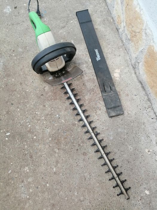 Fierastrau tuns gard viu