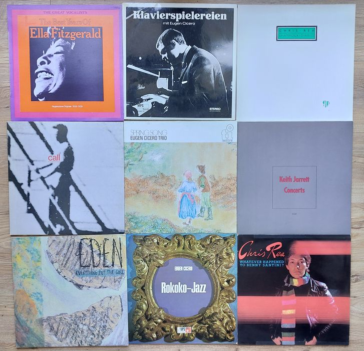 Vinyl - vinil Sting The Police The Doors Eric Clapton Vangelis B Dylan