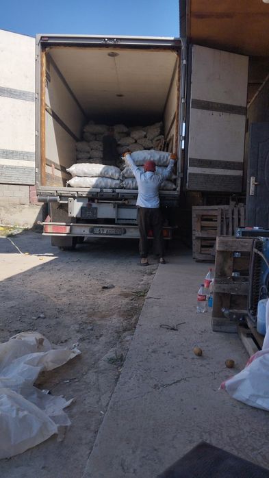 Услуги разнарабочих.