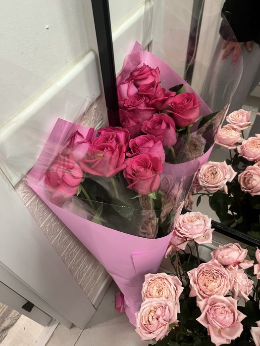 Голландские розовые розы