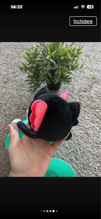 Rainbocorns Zuru pisicuta neagra