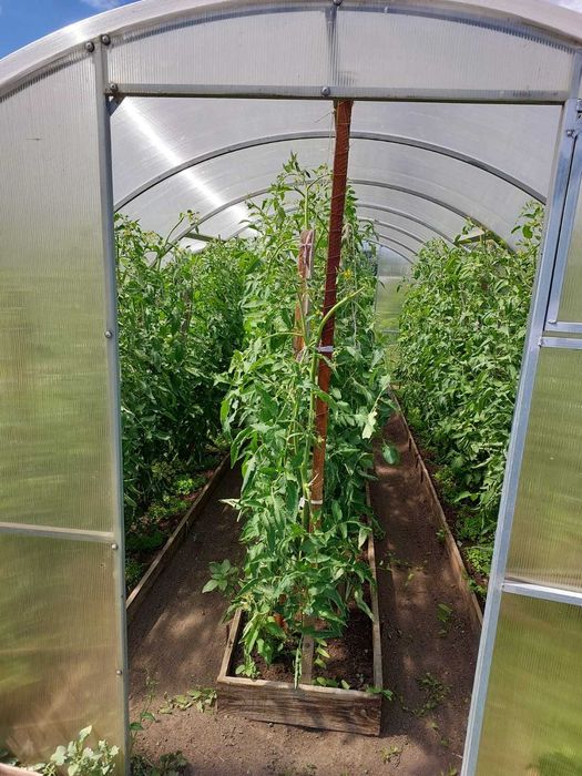 Продаётся дача, Федоровка