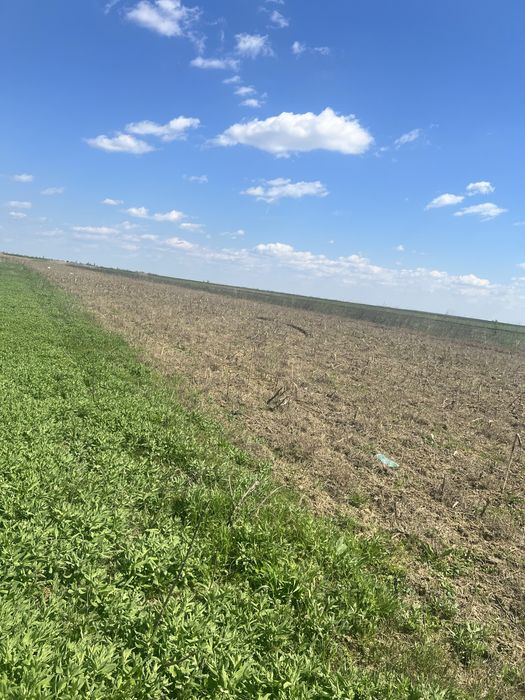 Teren agricol Slobozia Moară 8544 mp acces la drum asfaltat si la 1 km de DN7