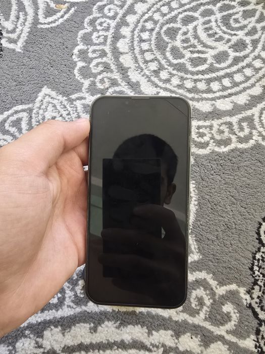 Iphone 13 pro ideal