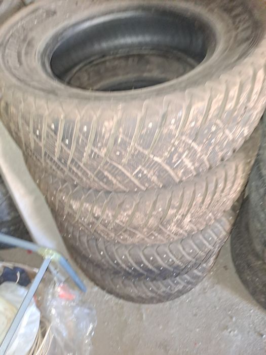 Резина на Прадо.