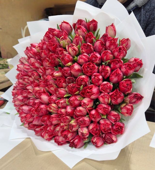 Тюльпаны Алматы 800тг/шт