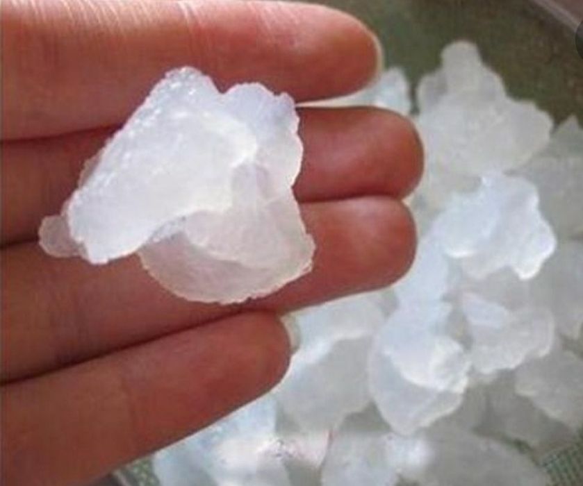 Индийский морской рис