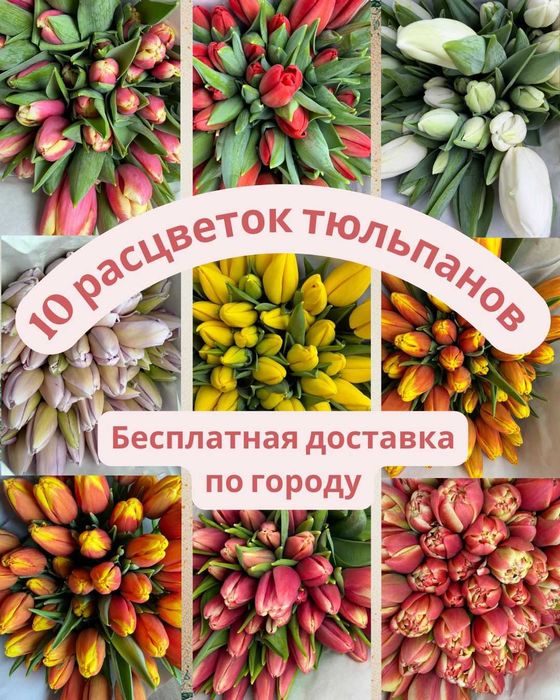 Цветы, Розы, Тюльпаны 8 марата