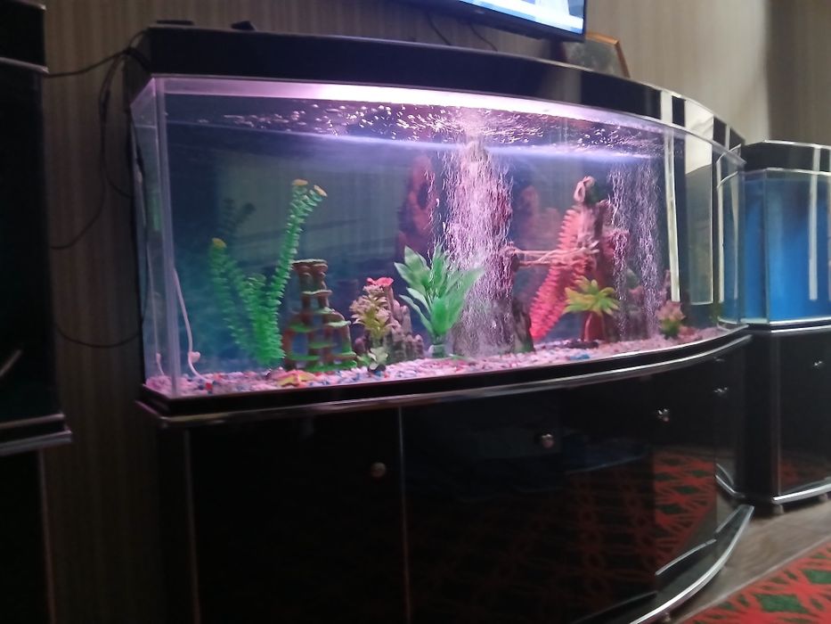 Аквариум сотилади