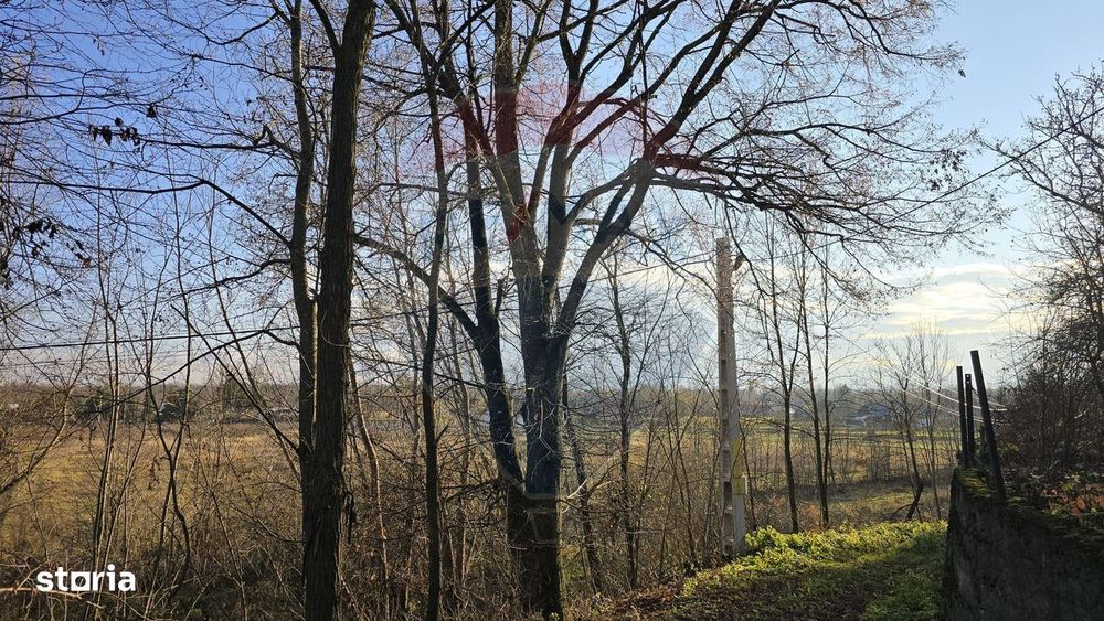 Teren 10,860mp Fratautii Noi / Strada Dealului