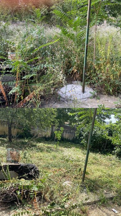 Tund cosesc curte gradina gazon