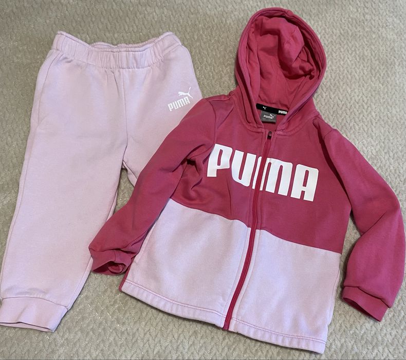 Trening puma 1-2 ani