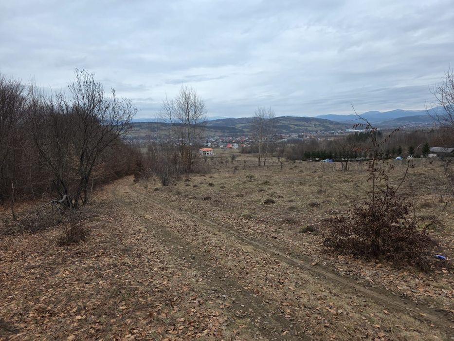 2.8hectare teren intravilan