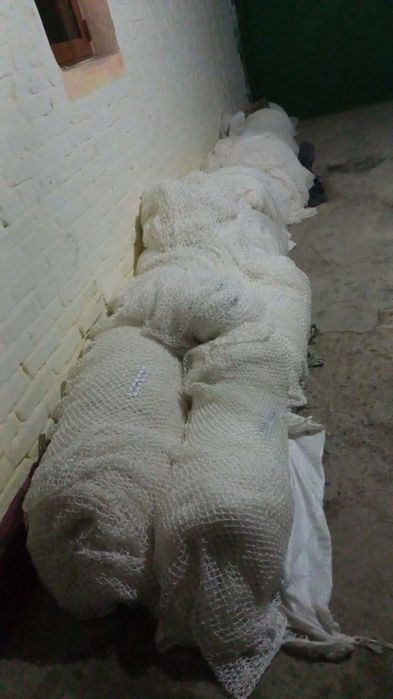 Балик бокиш учун торлар сотилади килоси 130 миндан