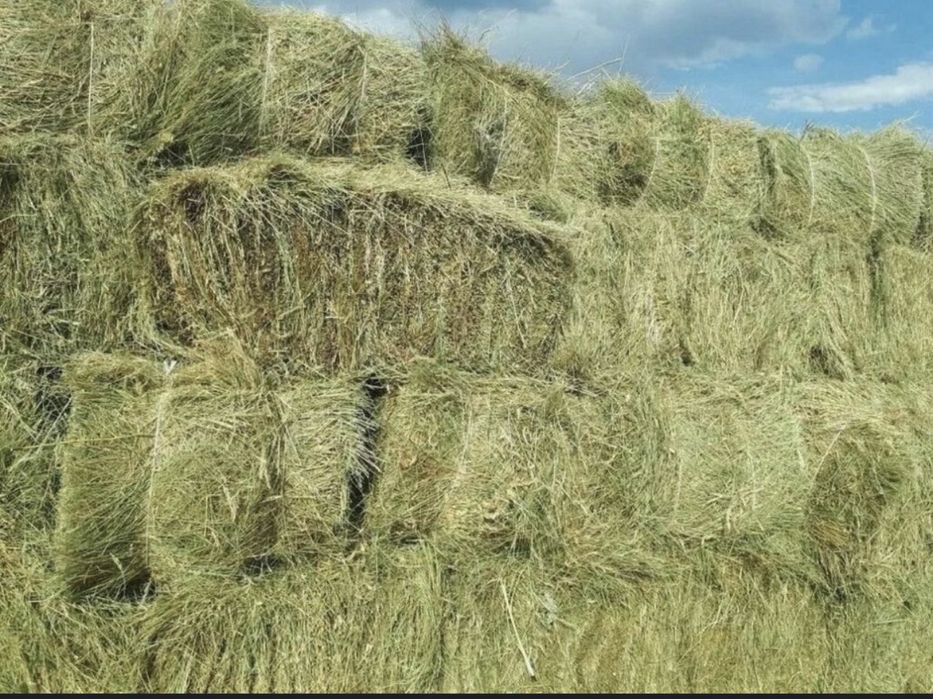 Продам цена с места