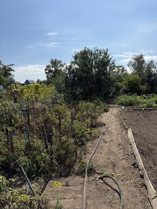 Продам дачу 8соток