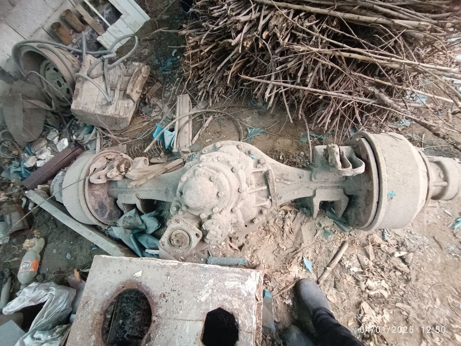 Chulok oʻrta moʻs krakadilniki