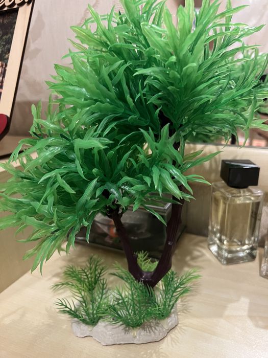 Дерево для аквариума