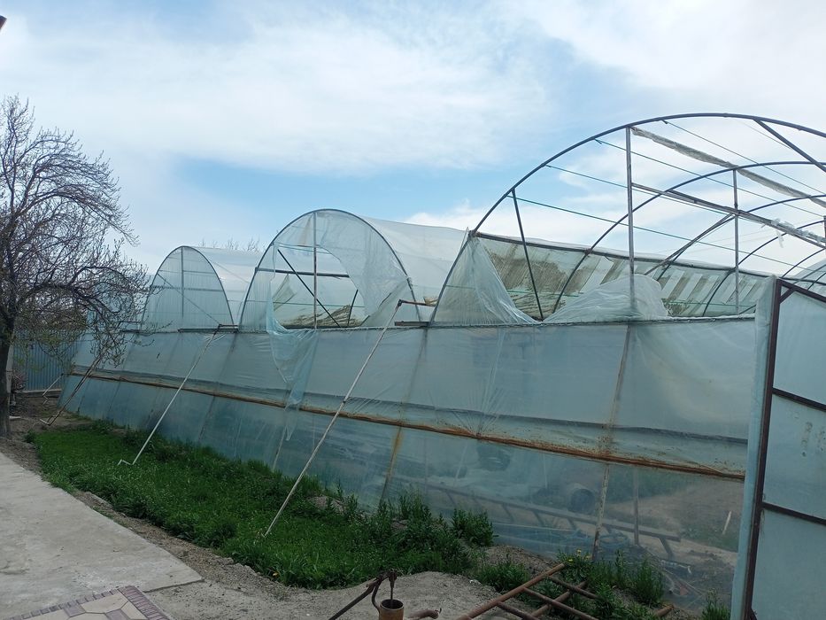 Парник 6 сотокли