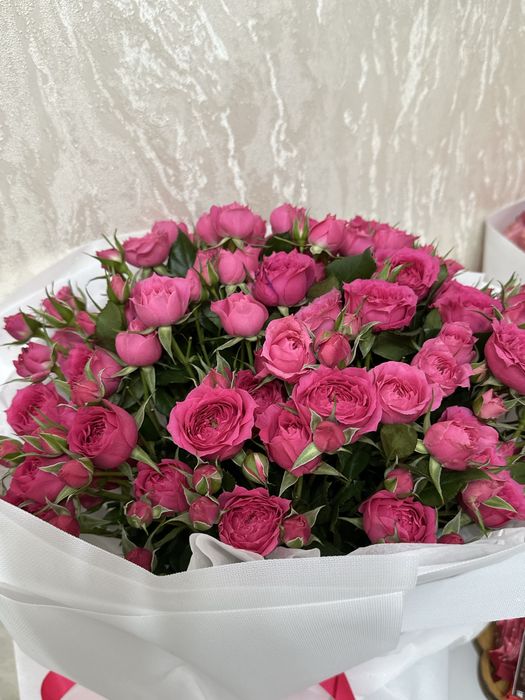 Гул. цветы. пионы