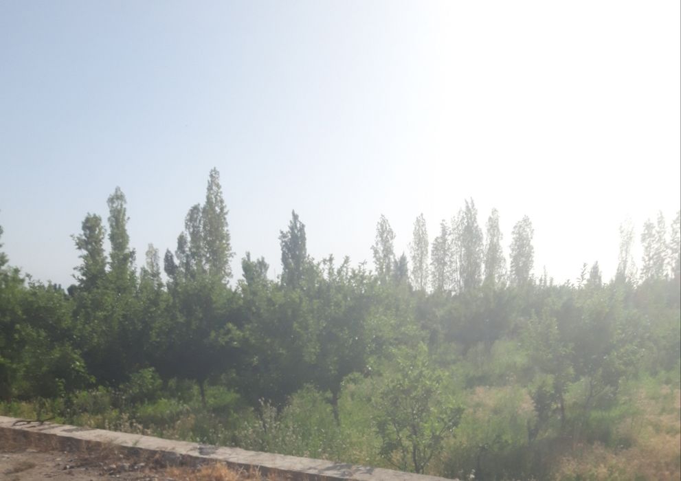 Нотурар ер сотилади. Фаргона шахарда