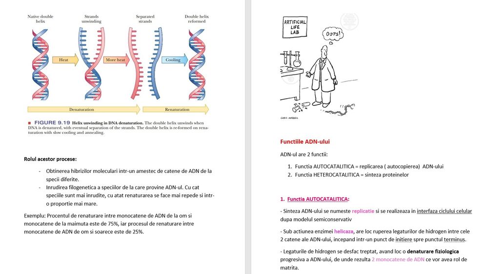 Meditatii bacalaureat biologie clasele 11-12 și admitere