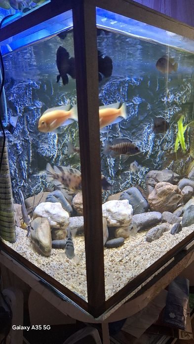 Аквариум полный комплект