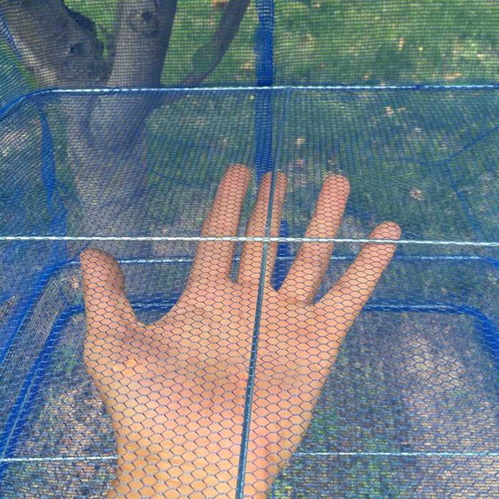 Сушилка для фруктов и рыбы