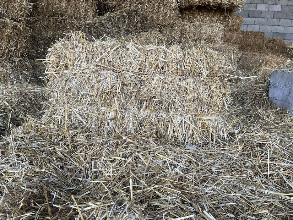 Пшеничная солома
