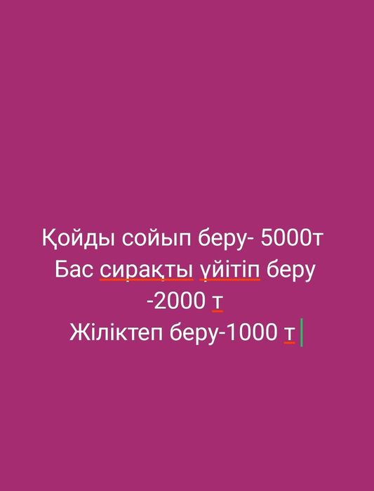 Баран, қой қошқар тұса тоқты овца