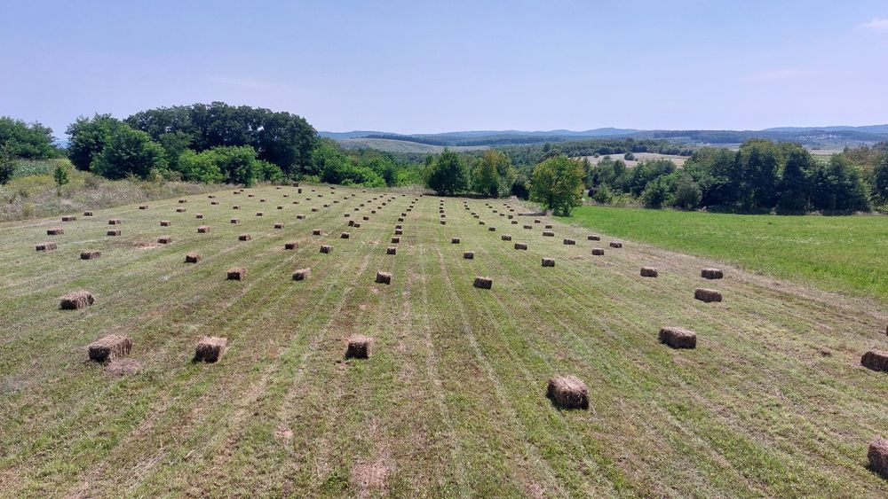 Vând baloți de fân