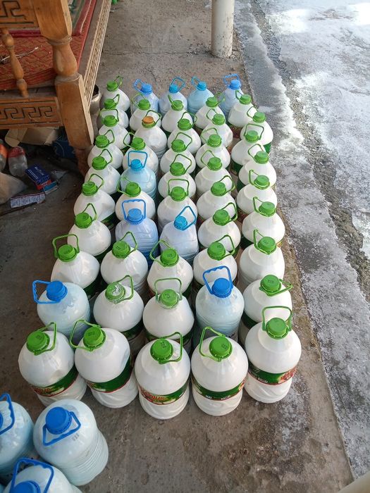 Кымыз Шубат Оптом