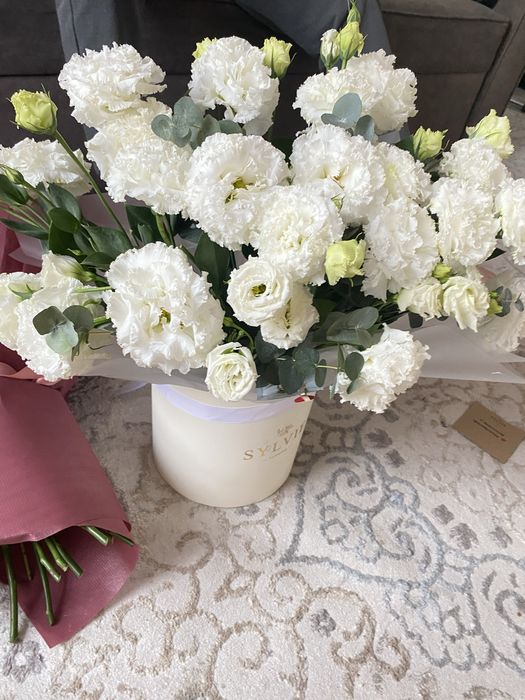 Вчера ночью в 02:00 куплен состояние хорошое все в идеале  цена догово