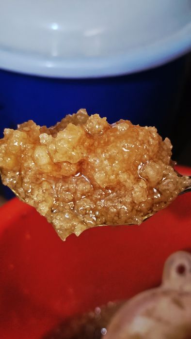 ASAL- ( 7-yilik. Kg 150 000 )