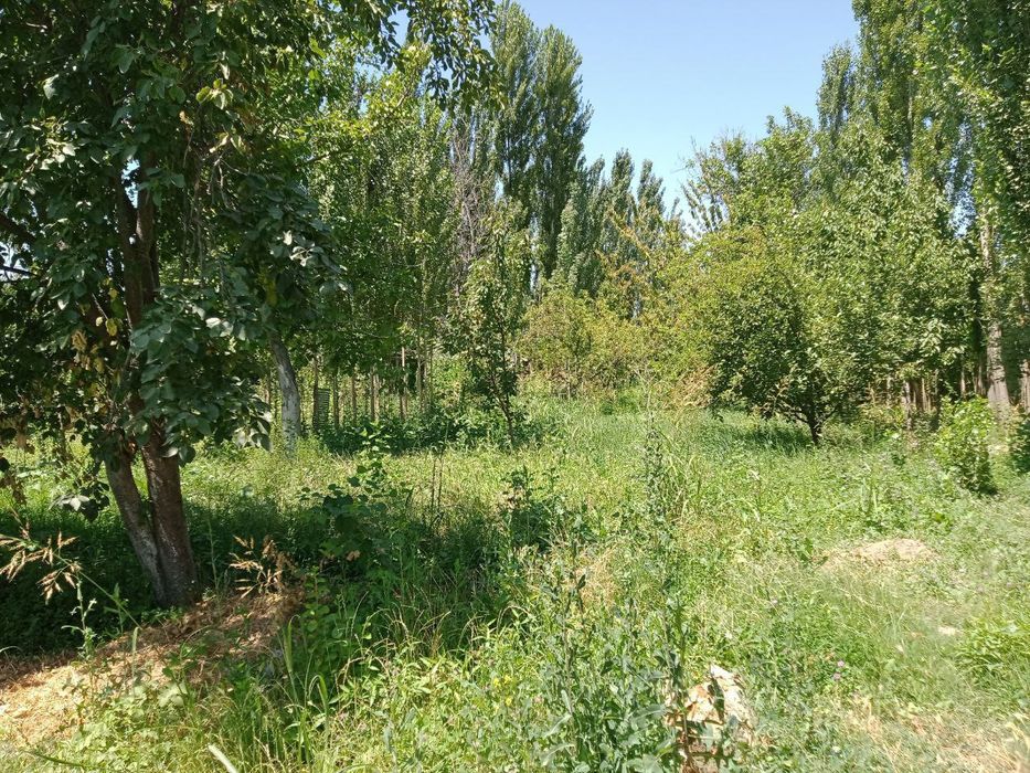 Uy hamda yer varıantga