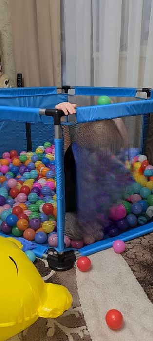 Продам сухой бассейн для детей. В отличном состоянии.