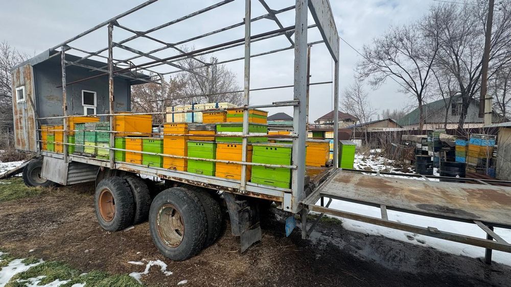 Пчелопавильон. Пчелы. Ульи. Мёд. Прицеп