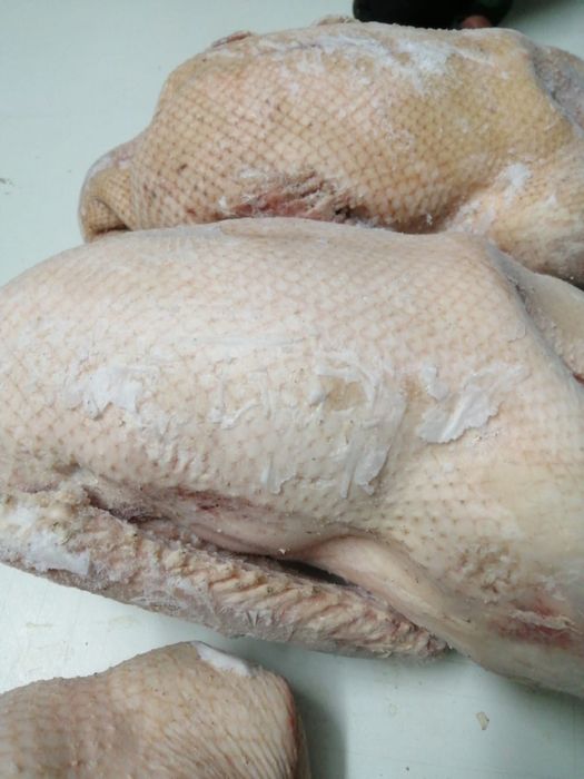 Продаю мясо гусей