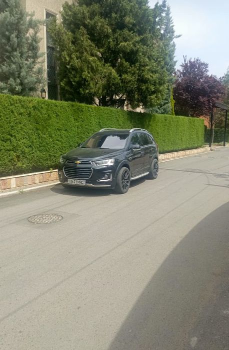 Забор из ёлок под ключ