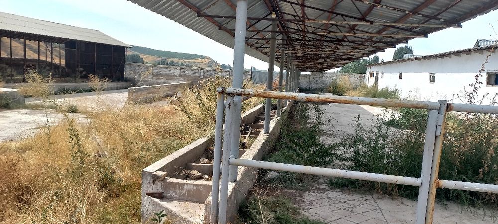 Ferma sotiladi .daca zona