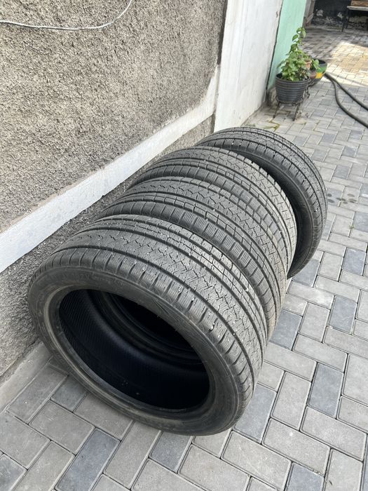 зимние шины triangle snowlink