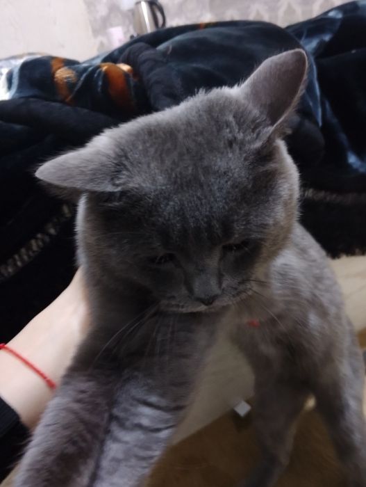 Sotiladi Termiz shaxar