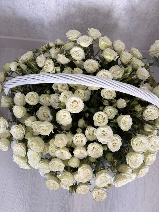 Продам цветы свежие