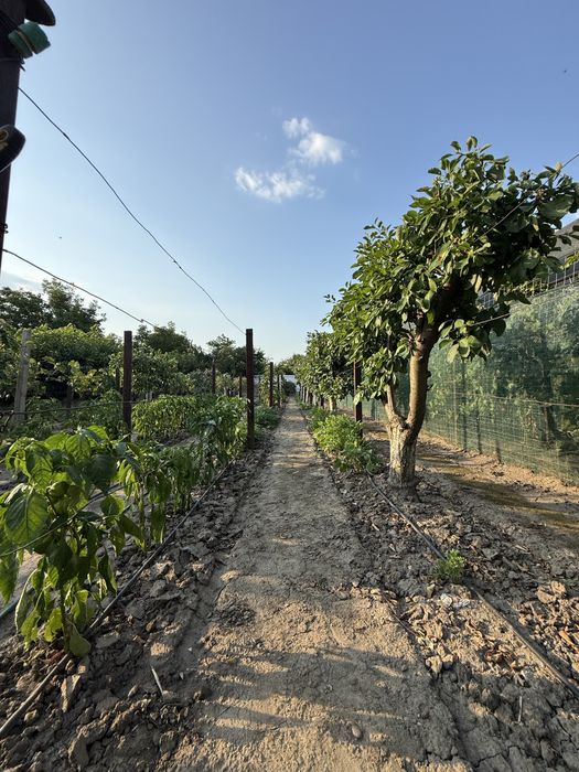 Casă 153 mp + teren 1.419 mp | Complet mobilată | Vânători, Vrancea