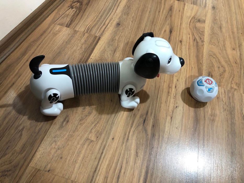 Куче Робо Дакел - Нов