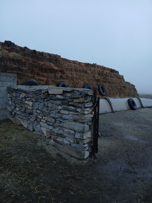 15000 шоп сатылады