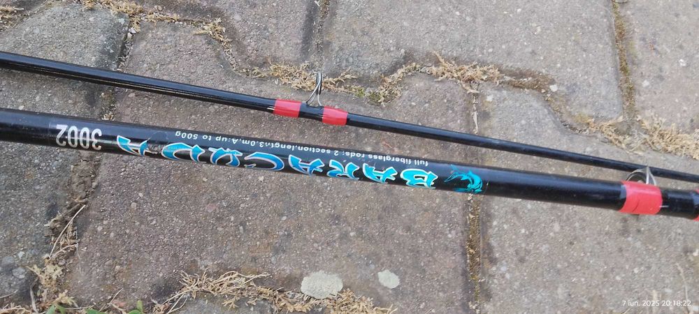 lansete pescuit somn si crap