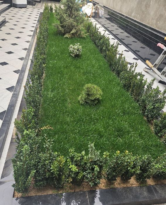 Стрижка газона Газон ориш хизмати